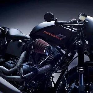 Meet your Posher, Steve